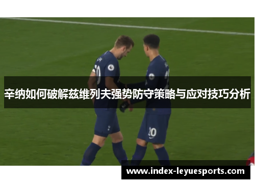 辛纳如何破解兹维列夫强势防守策略与应对技巧分析 辛纳如何破解兹维列夫强势防守策略与应对技巧分析