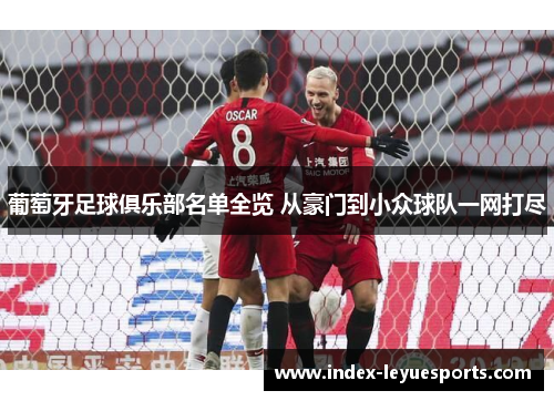 葡萄牙足球俱乐部名单全览 从豪门到小众球队一网打尽