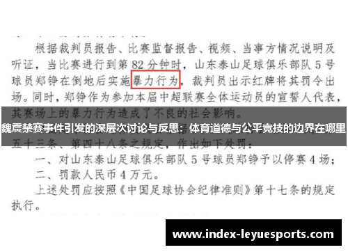 魏震禁赛事件引发的深层次讨论与反思：体育道德与公平竞技的边界在哪里