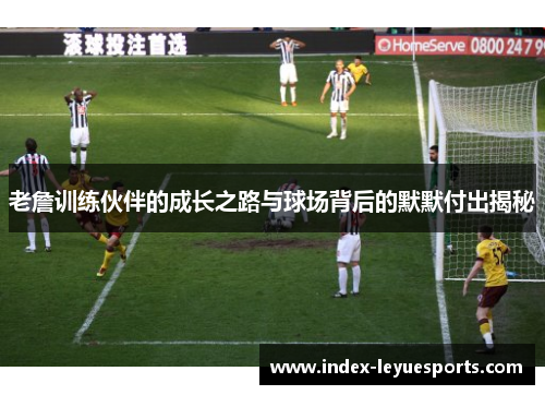 老詹训练伙伴的成长之路与球场背后的默默付出揭秘